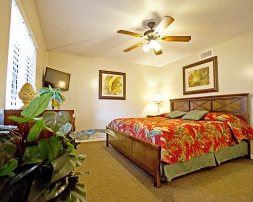 Florida Vacation Villas – photo 11