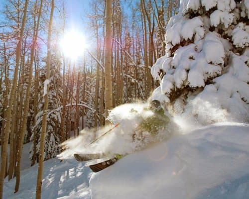 Goldenwoods Condominiums At Powderhorn Resort – photo 21