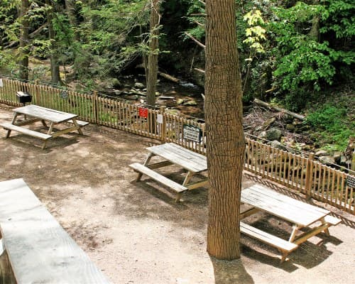 Gatlinburg Town Square Resort - 4 Nights – photo 13