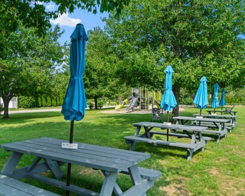 Sea Mist Resort of Maine – photo 8