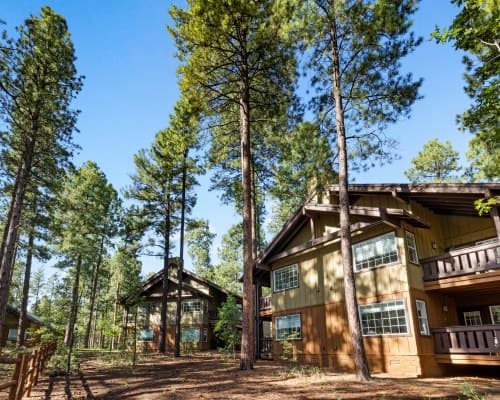 WorldMark Pinetop – photo 8