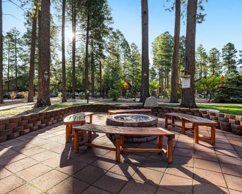 WorldMark Pinetop – photo 10