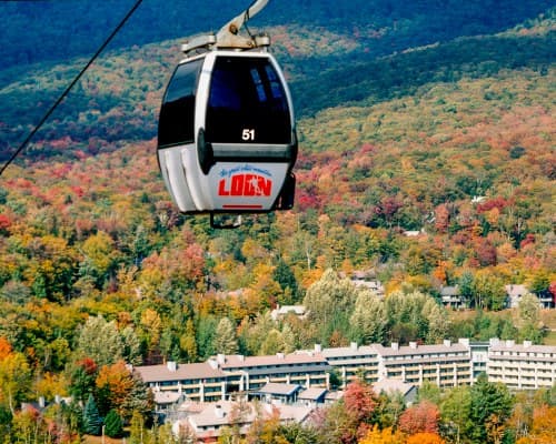Village of Loon Mountain Lodges – photo 23