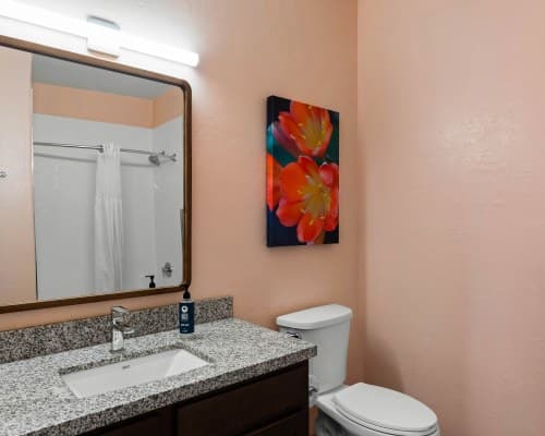 WorldMark Tucson Rancho Vistoso – photo 44