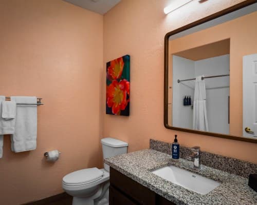 WorldMark Tucson Rancho Vistoso – photo 66