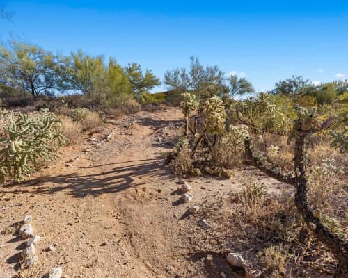 WorldMark Tucson Rancho Vistoso – photo 24