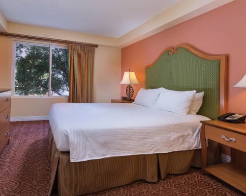 Club Wyndham Desert Rose Resort – photo 20