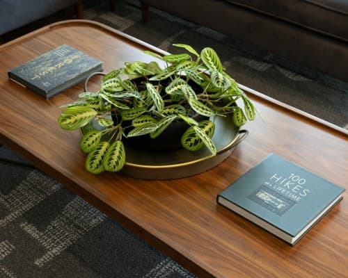 Hotel Vance, a Tribute Portfolio Hotel by Marriott - 5 Nights – photo 27