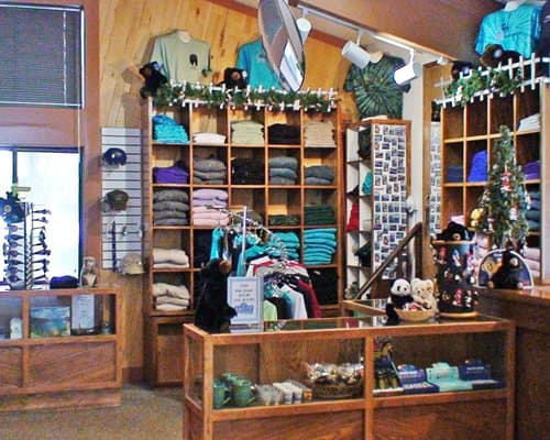 Club Tahoe Resort – photo 20