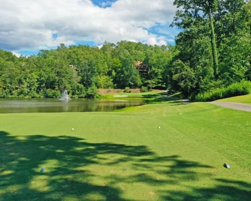 Fairways of the Mountains at Fairfield Mountains – photo 62
