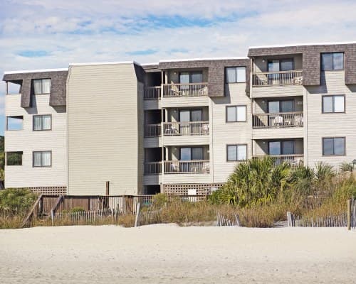 Ocean Forest Colony – photo 6