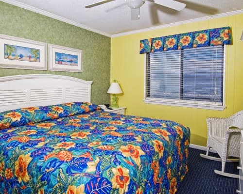 Ocean Forest Colony – photo 5