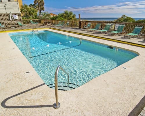 Ocean Forest Colony – photo 4
