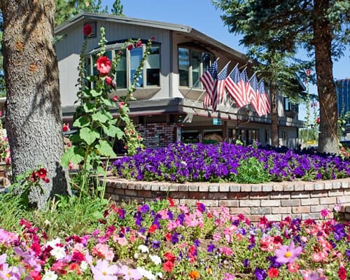 Stardust -Tahoe – photo 7