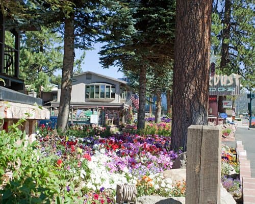 Stardust -Tahoe – photo 11