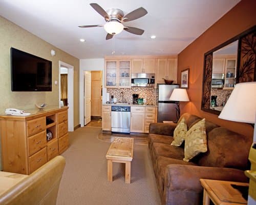 Stardust -Tahoe – photo 4