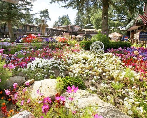 Stardust -Tahoe – photo 18