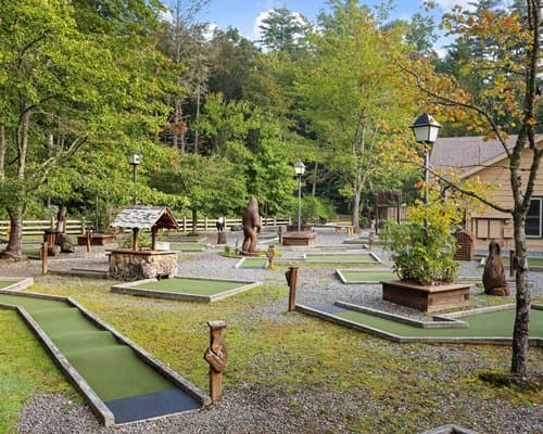 Club Wyndham Resort at Fairfield Sapphire Valley – photo 18