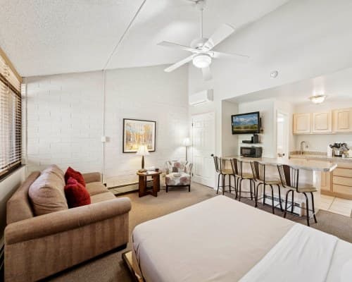 Club Park Avenue – photo 13