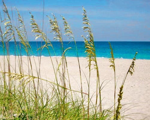 A Place at the Beach III – photo 29