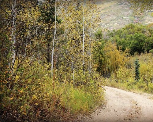 East Canyon Resort – photo 19