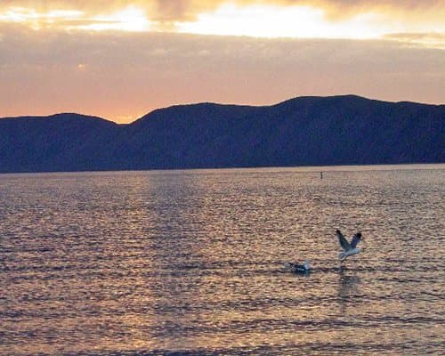 Bear Lake Timeshare – photo 7