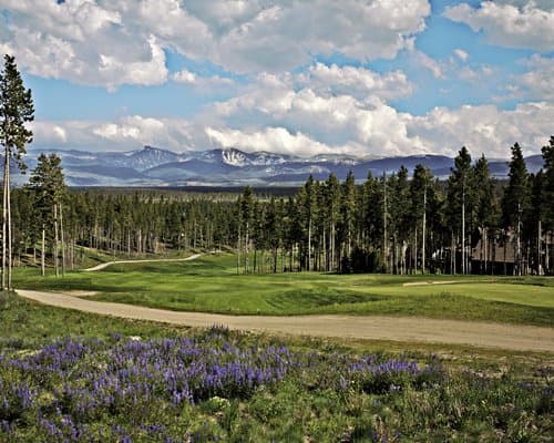 The Pines at Meadow Ridge – photo 10
