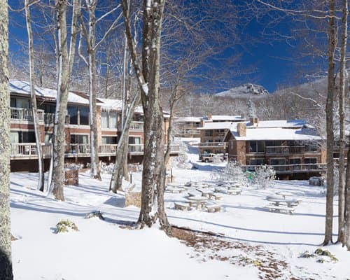 Festiva Blue Ridge Village II – photo 5