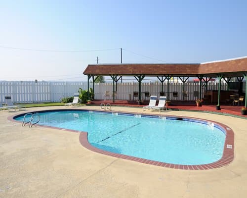 The Lodge – photo 3