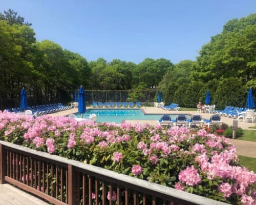 Sea Mist Resort – photo 11