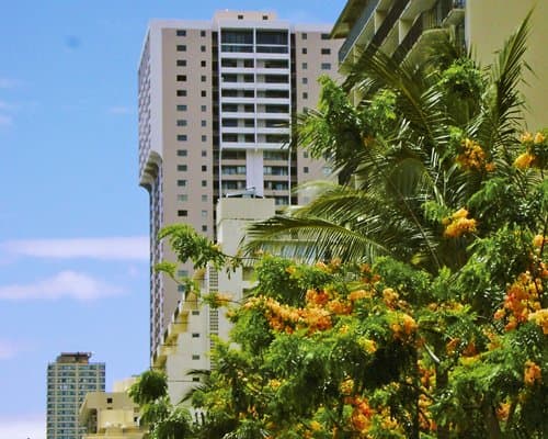 Lifetime in Hawaii – photo 11
