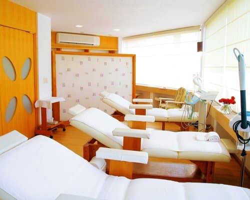 Coral Cuernavaca Resort & Spa – photo 6