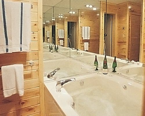 Endless Mountain Resort – photo 4