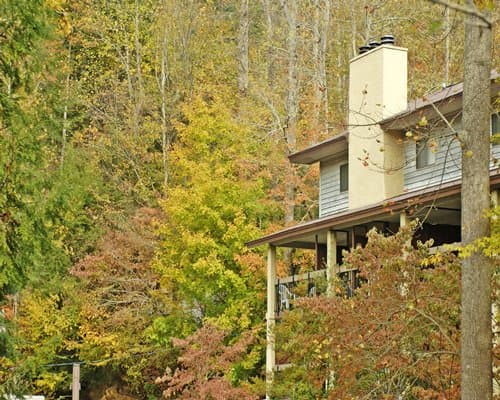 Tree Tops Resort – photo 4