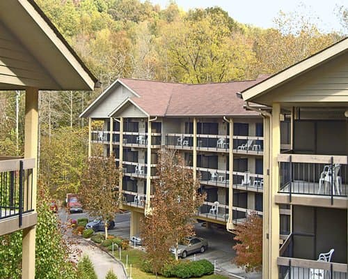 Tree Tops Resort – photo 8