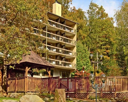 Tree Tops Resort – photo 15
