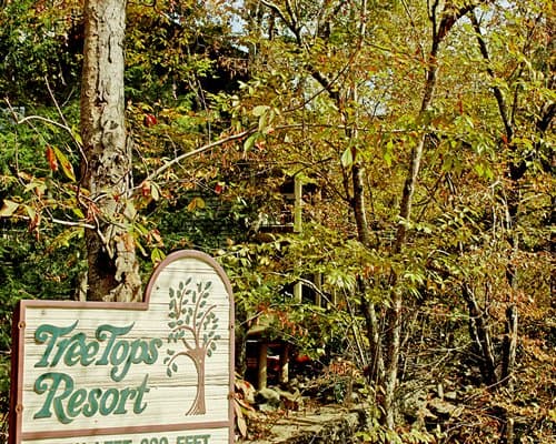 Tree Tops Resort – photo 17