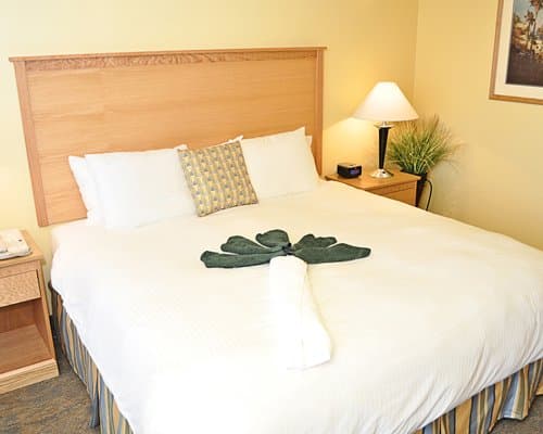 Ocean Key Resort – photo 19