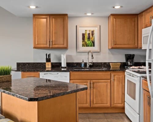 WorldMark Lake Chelan Shores – photo 22