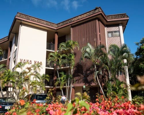 Hono Koa – photo 6