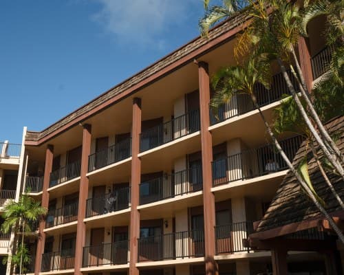 Hono Koa – photo 10