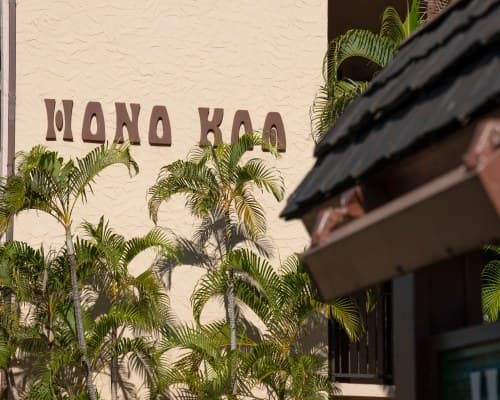 Hono Koa – photo 12