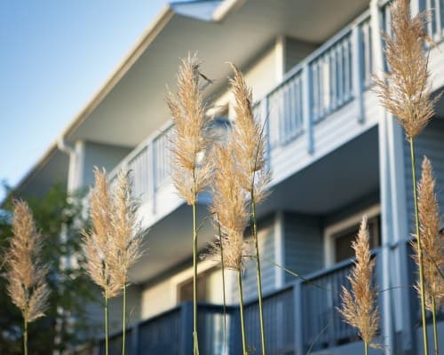 Harbourside II Condominiums – photo 9