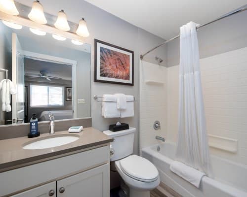 WorldMark Birch Bay – photo 5
