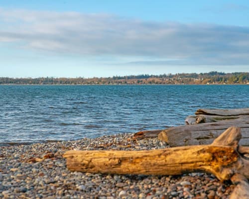 WorldMark Birch Bay – photo 41