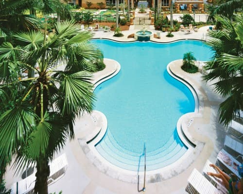WorldMark Palm-Aire - 5 Nights – photo 29