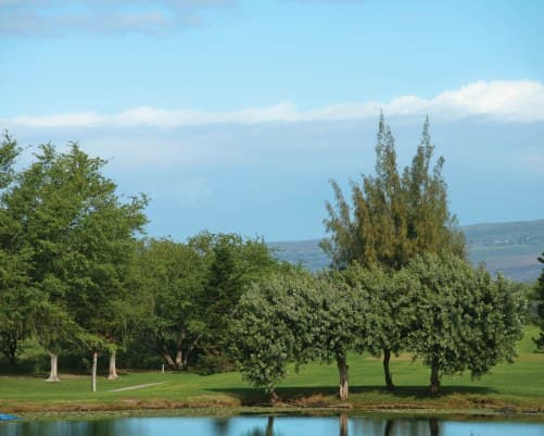 Club Wyndham Paniolo Greens - 6 Nights – photo 15