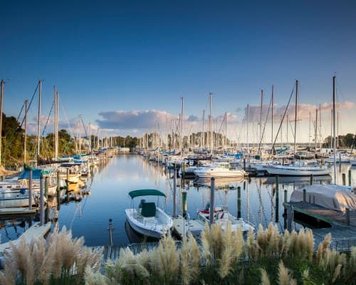 Fairfield Harbour/Windjammer I – photo 19