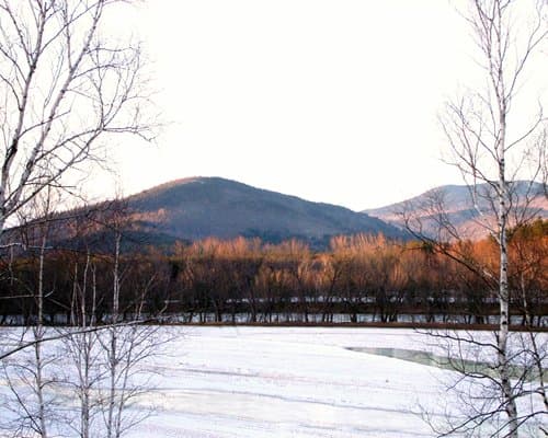 River View Resort – photo 13