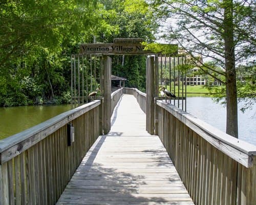 Vacation Village at Parkway – photo 33